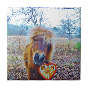 Valentine Heart Horse Ceramic Tile