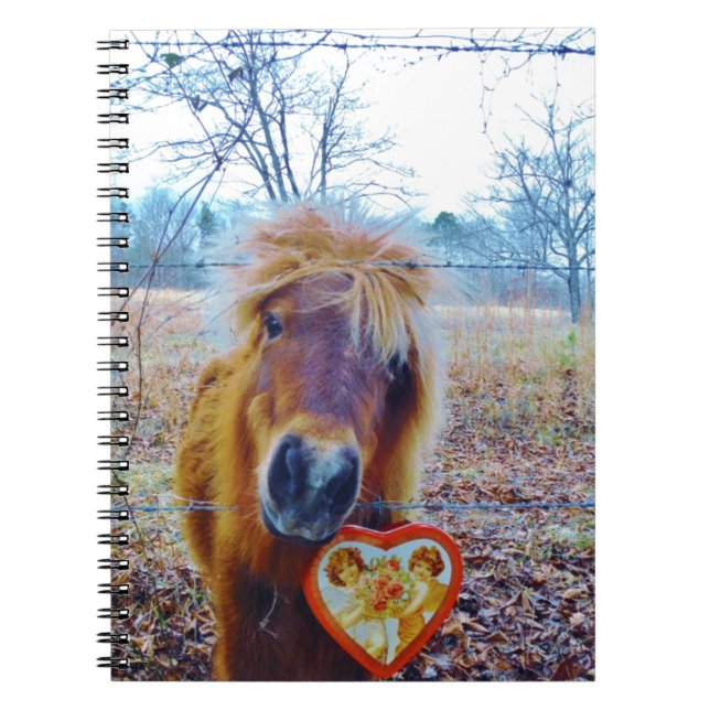 Valentine Heart  Horse Notebook (Front)