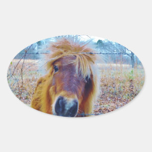 Valentine Heart  Horse Oval Sticker