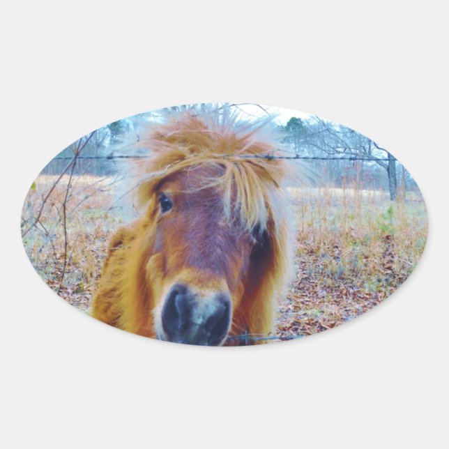 Valentine Heart  Horse Oval Sticker (Front)