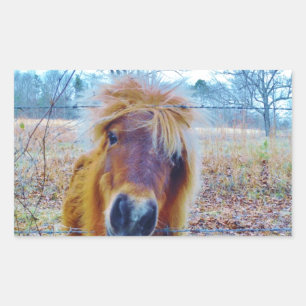 Valentine Heart  Horse Rectangular Sticker