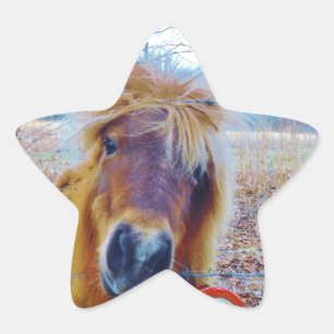 Valentine Heart Horse Star Sticker