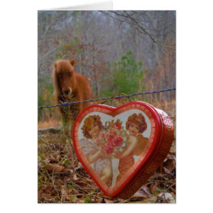 Valentine Heart  Miniature brown Horse