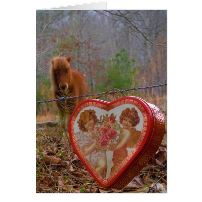 Valentine Heart  Miniature brown Horse (Front)