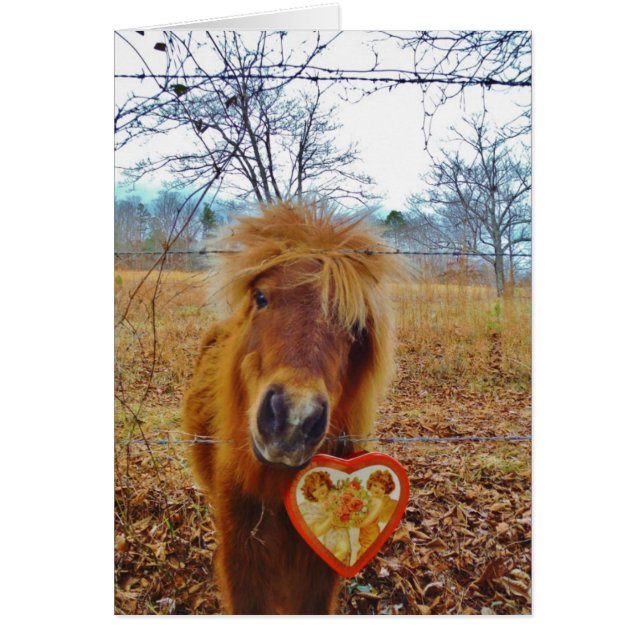 Valentine Heart  Miniature brown Horse (Front)