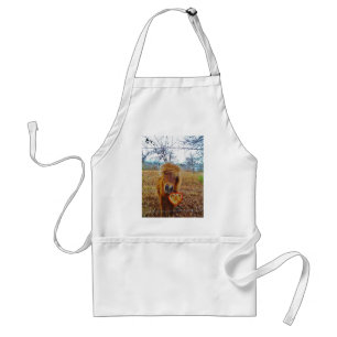 Valentine Heart  Miniature brown Horse Standard Apron