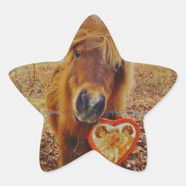 Valentine Heart  Miniature brown Horse Star Sticker (Front)
