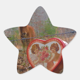 Valentine Heart Miniature brown Horse Star Sticker
