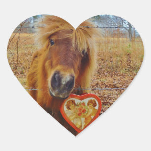 Valentine Heart  Miniature brown Horse Sticker