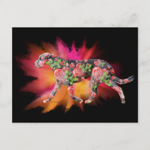 Valentine Irish Wolfhound splash of colour  Postcard