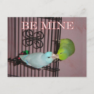 Valentine kiss holiday postcard