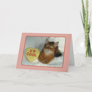 Valentine Kitty U R Cool Card