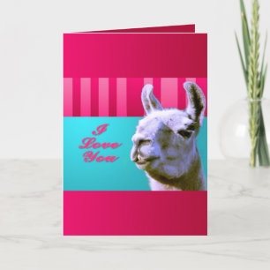 Valentine llama I love you be mine pink red, turqu Holiday Card