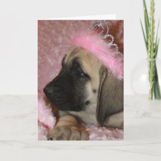 Valentine Mastiff puppy with a crown Holiday Card
