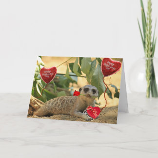 Valentine Meerkat Holiday Card