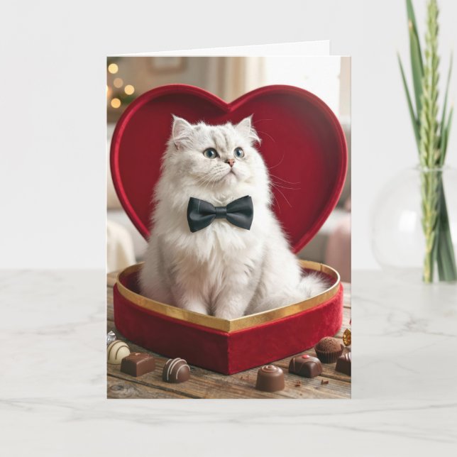 Valentine Persian Cat In Candy Box Card (Front)
