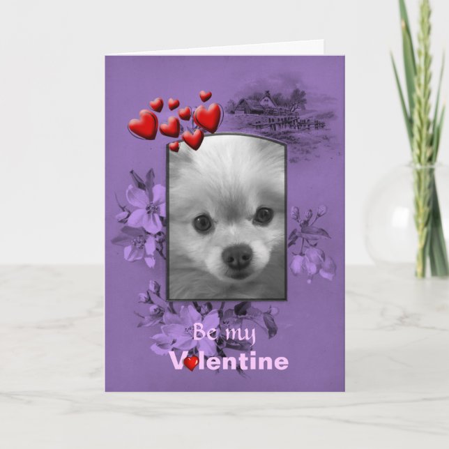 Valentine Pomeranian with Big Cute Eyes Holiday Card (Front)