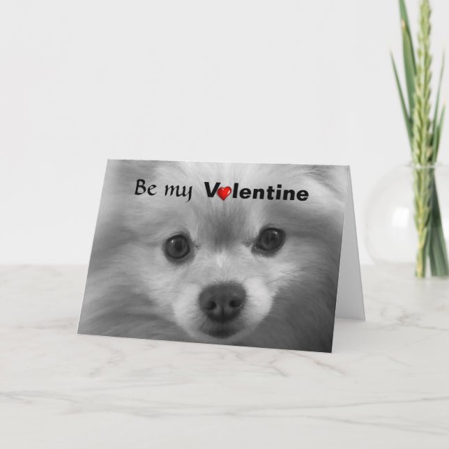 Valentine Pomeranian with Big Cute Eyes Holiday Card (Front)