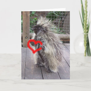 Valentine Porcupine Holiday Card