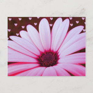 Valentine Postcards