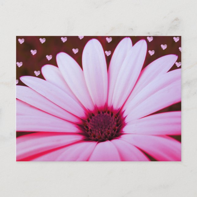 Valentine Postcards (Front)