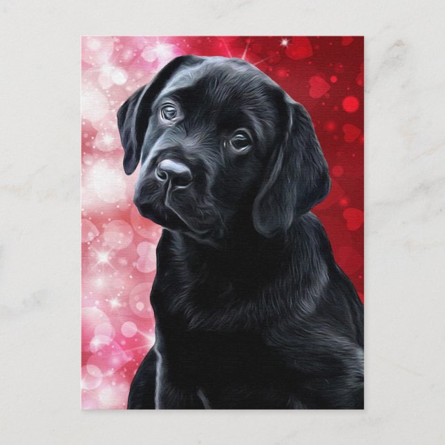 Valentine Puppy - Black Labrador - Lab Puppy Postcard (Front)