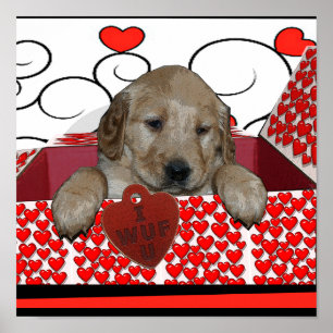 VALENTINE PUPPY - I WUF YOU! (I LOVE YOU) POSTER