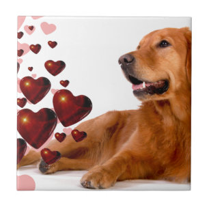 Valentine Red Hearts Golden Retriever Dog Tile