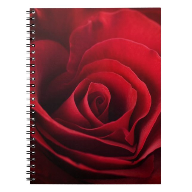 Valentine Red Rose Notebook (Front)