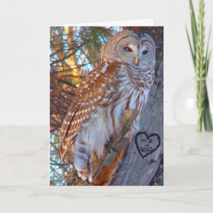 Valentine, Romance,Funny, Humor Owl --ME + WHO Holiday Card