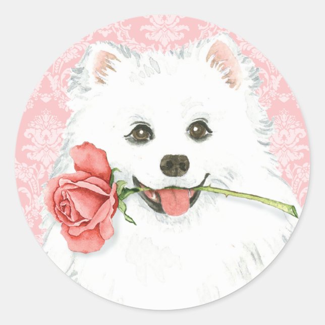 Valentine Rose American Eskimo Dog Classic Round Sticker (Front)