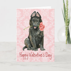 Valentine Rose Belgian Sheepdog Holiday Card