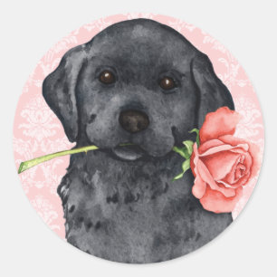 Valentine Rose Black Lab Classic Round Sticker