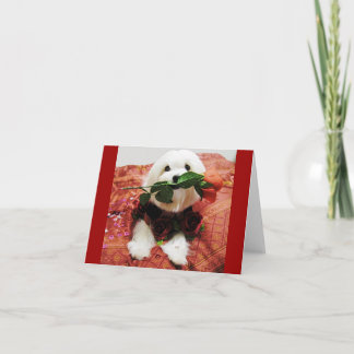 Valentine Rose (blank inside) Holiday Card