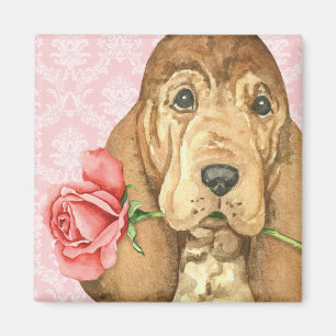 Valentine Rose Bloodhound Magnet