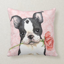 Valentine Rose Boston Terrier