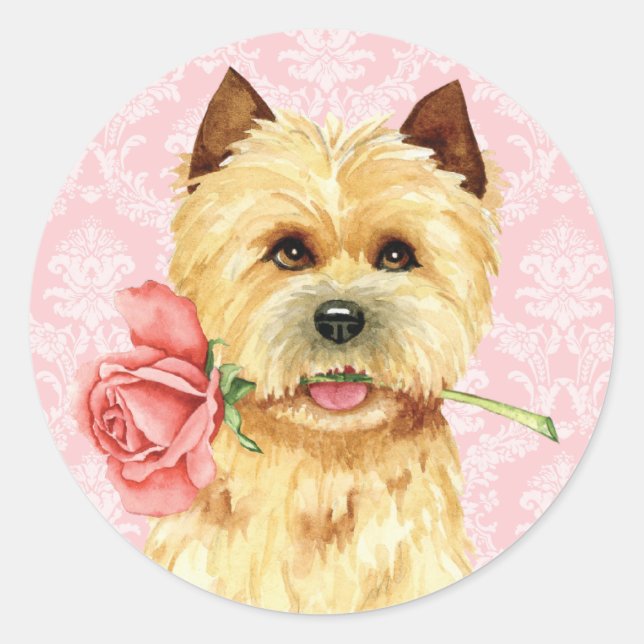 Valentine Rose Cairn Terrier Classic Round Sticker (Front)