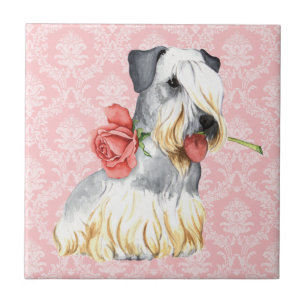 Valentine Rose Cesky Terrier Ceramic Tile