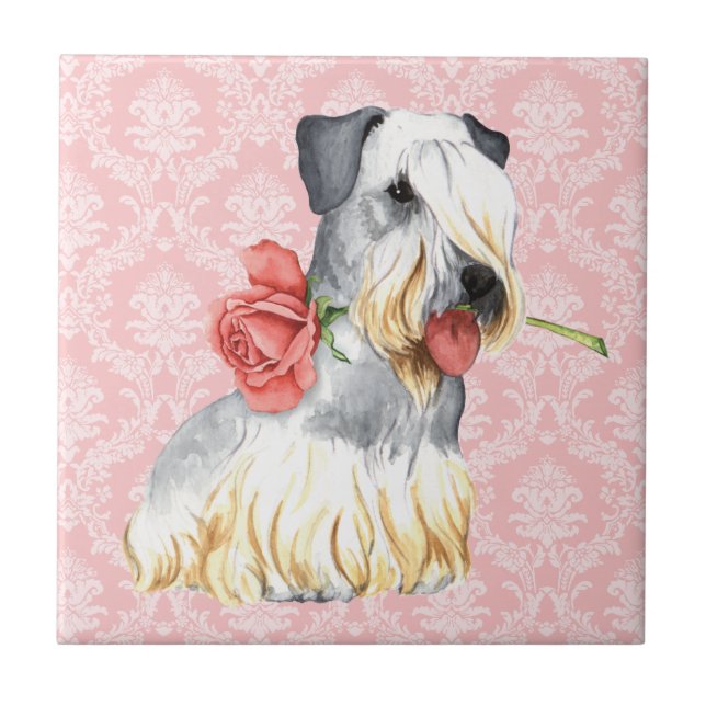 Valentine Rose Cesky Terrier Ceramic Tile (Front)
