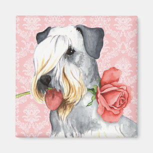 Valentine Rose Cesky Terrier Magnet