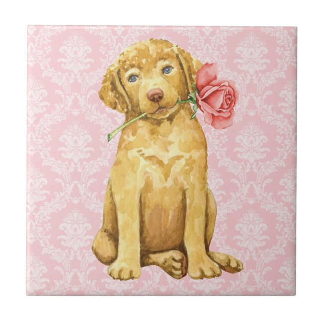 Valentine Rose Chesapeake Bay Retriever Tile (Front)