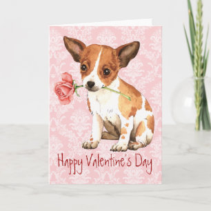 Valentine Rose Chihuahua Holiday Card