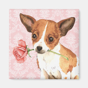 Valentine Rose Chihuahua Magnet