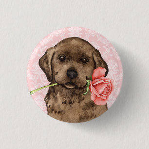 Valentine Rose Chocolate Lab 3 Cm Round Badge