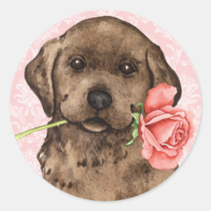 Valentine Rose Chocolate Lab Classic Round Sticker