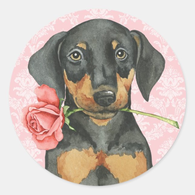 Valentine Rose Doberman Classic Round Sticker (Front)
