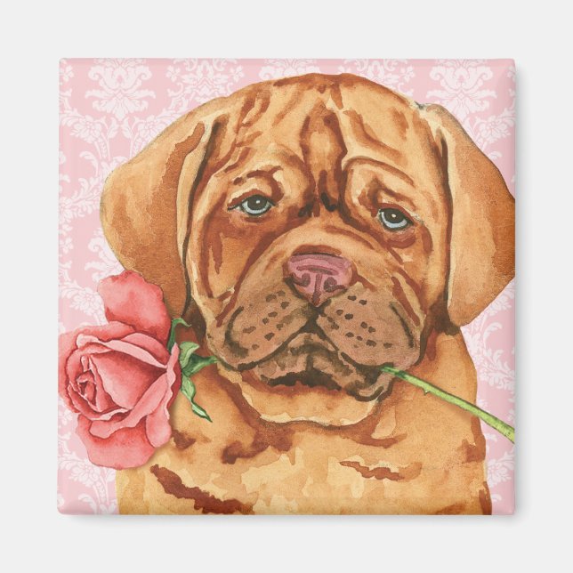 Valentine Rose Dogue de Bordeaux Magnet (Front)