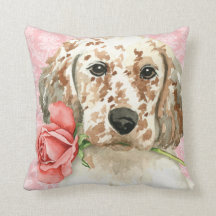 Valentine Rose English Setter
