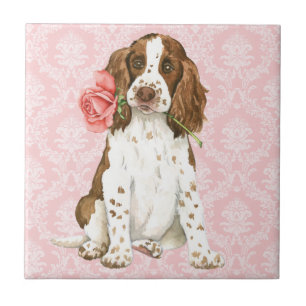 Valentine Rose English Springer Ceramic Tile