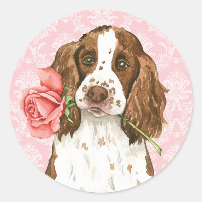 Valentine Rose English Springer Classic Round Sticker (Front)